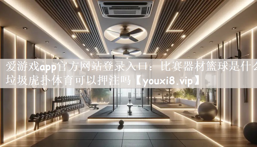 爱游戏app官方网站登录入口：比赛器材篮球是什么垃圾虎扑体育可以押注吗