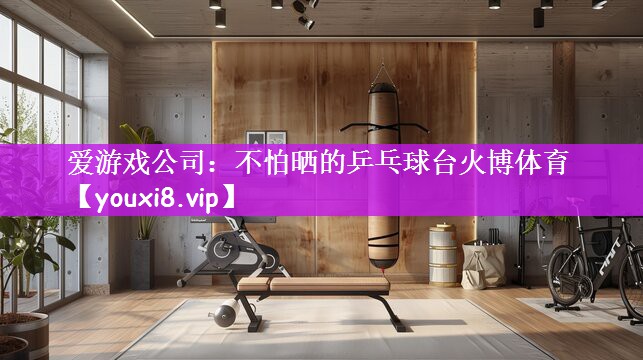 爱游戏公司：不怕晒的乒乓球台火博体育