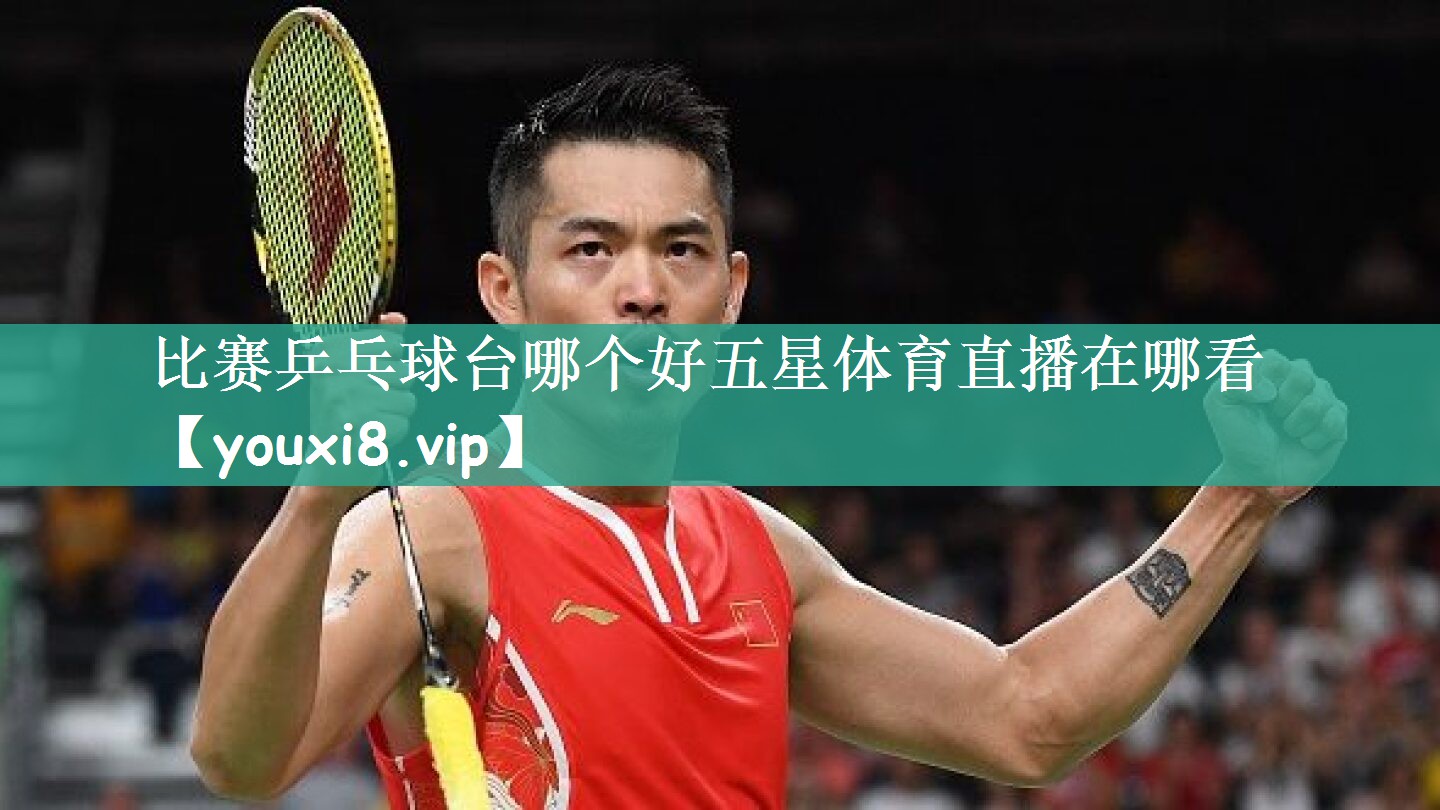 比赛乒乓球台哪个好五星体育直播在哪看