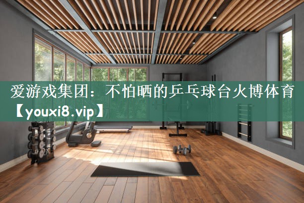 爱游戏集团：不怕晒的乒乓球台火博体育