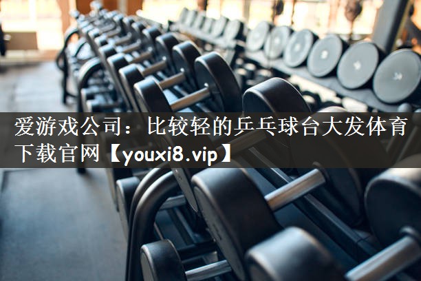 爱游戏公司：比较轻的乒乓球台大发体育下载官网