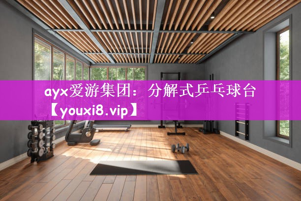 ayx爱游集团：分解式乒乓球台