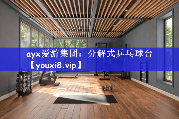 分解式乒乓球台